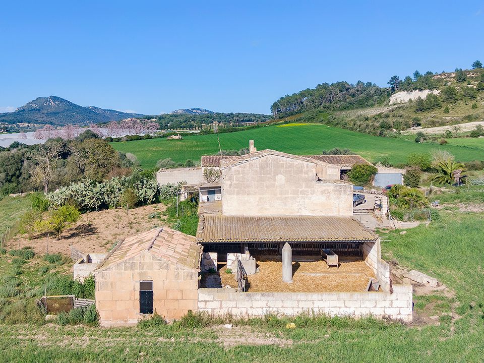 Cortijo i Manacor, Mallorca - foto 5