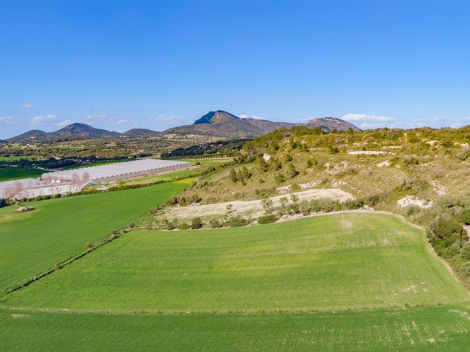 Helårsgrund i Manacor, Mallorca - foto 2
