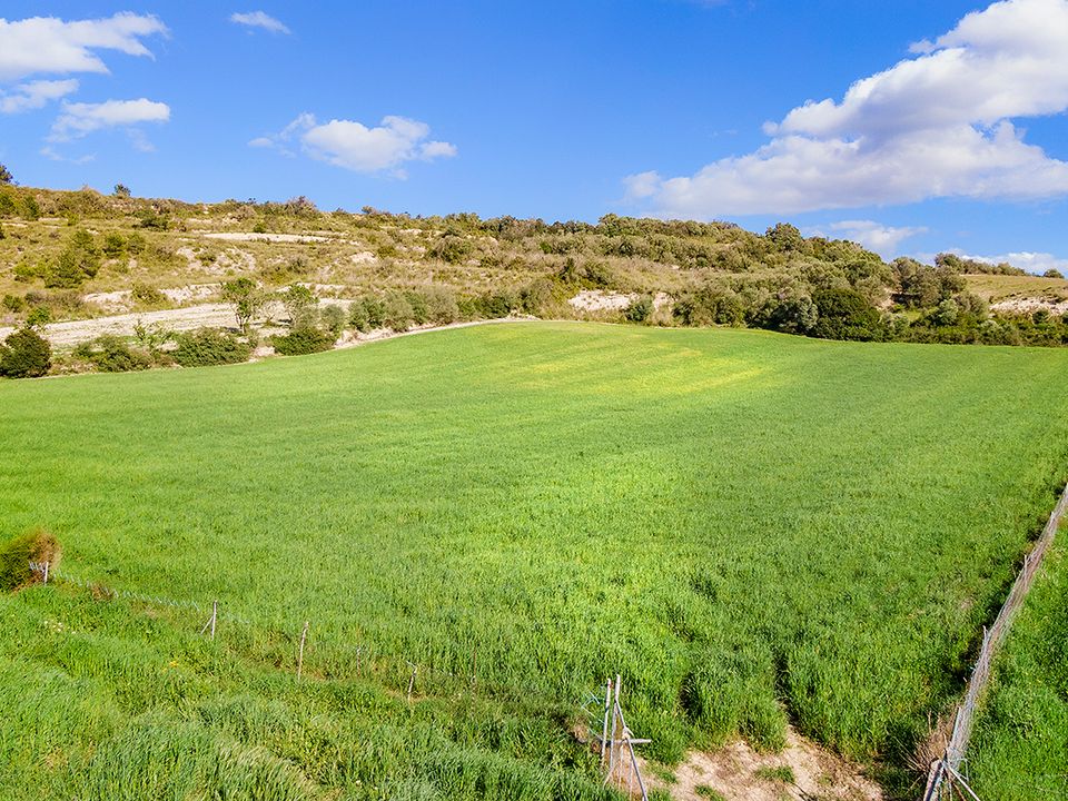 Helårsgrund i Manacor, Mallorca - foto 5