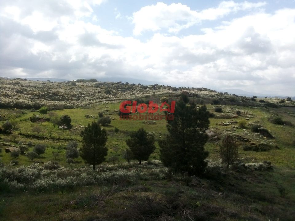 Farm i Gouveia, Guarda - foto 1