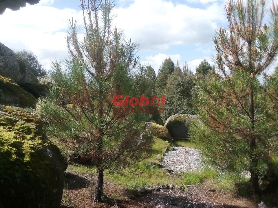 Farm i Gouveia, Guarda - foto 3
