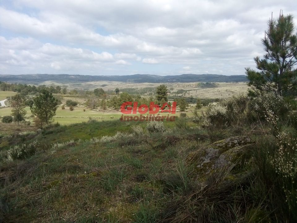 Farm i Gouveia, Guarda - foto 4
