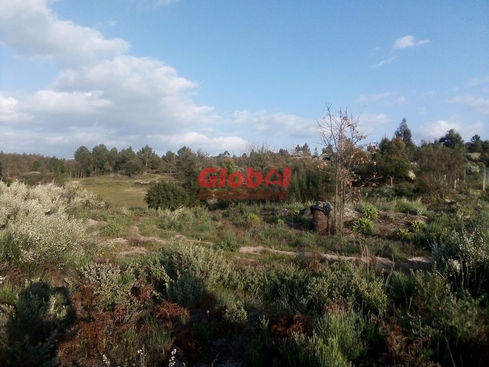 Helårsgrund i Gouveia, Guarda - foto 1