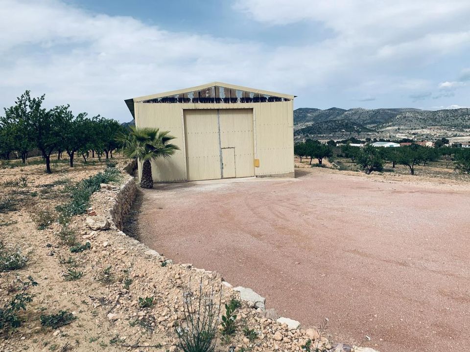 Helårsgrund i La Romana, Alicante - foto 3