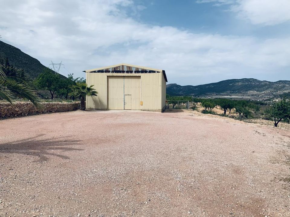 Helårsgrund i La Romana, Alicante - foto 4