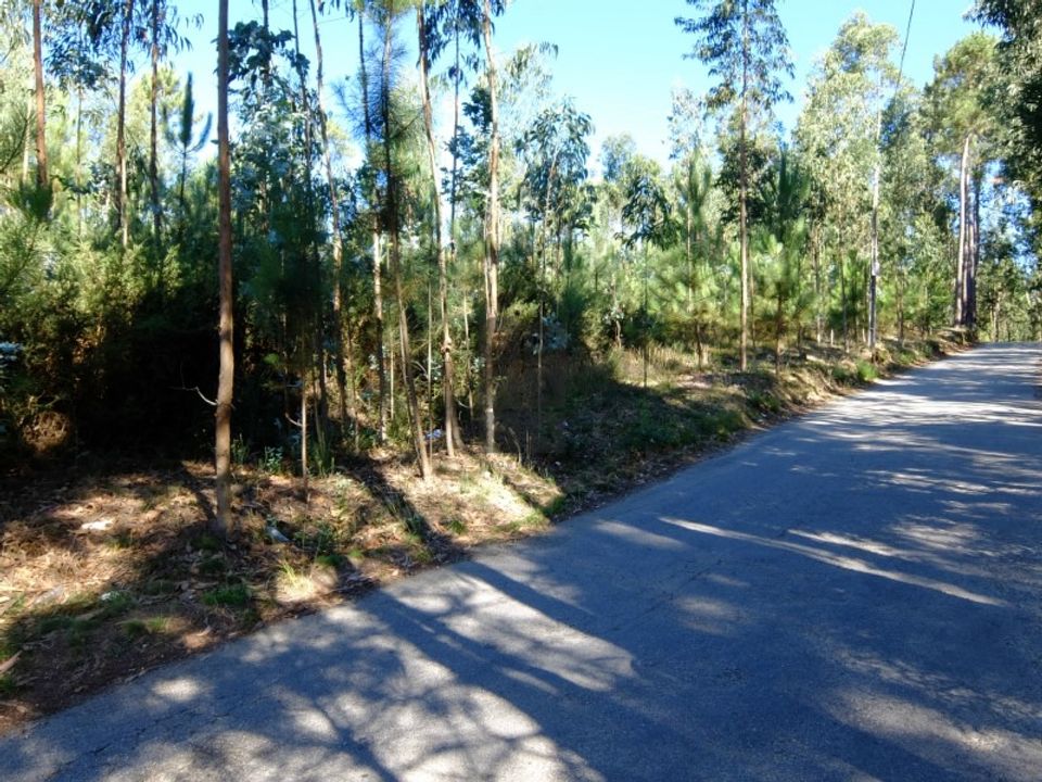 Helårsgrund i Oliveira de Azemeis, Aveiro - foto 3