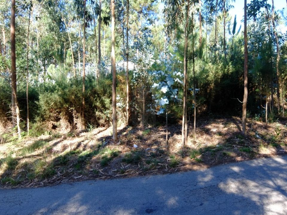Helårsgrund i Oliveira de Azemeis, Aveiro - foto 5