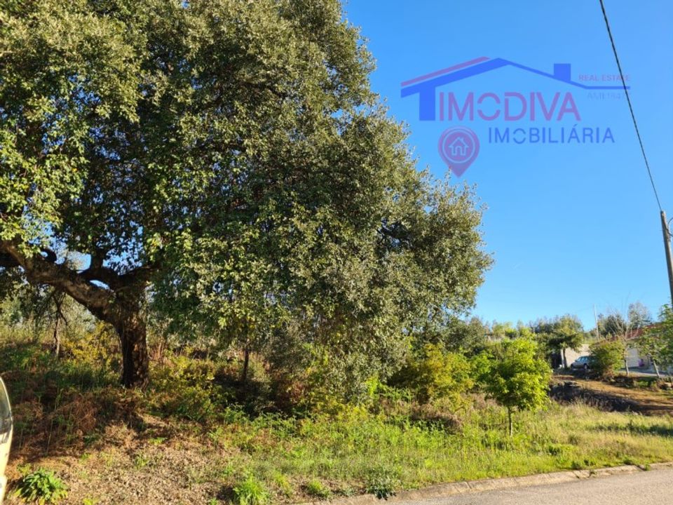 Helårsgrund i Pedrogao Grande, Leiria - foto 2