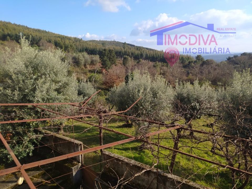 Villa i Tarouca, Viseu - foto 3