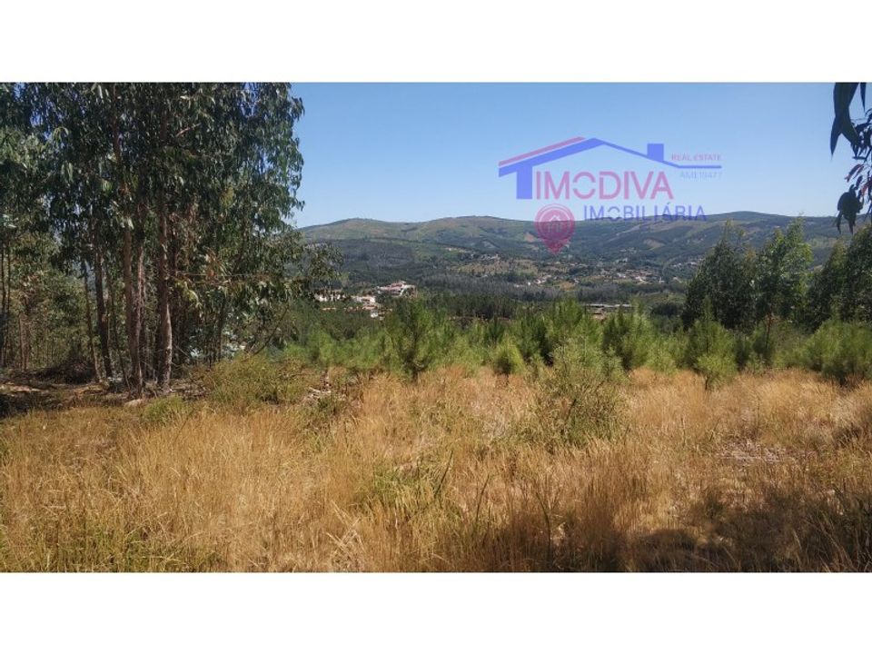 Helårsgrund i Tarouca, Viseu - foto 1