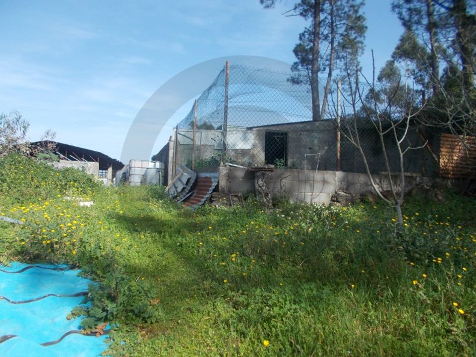 Helårsgrund i Leiria, Leiria - foto 2