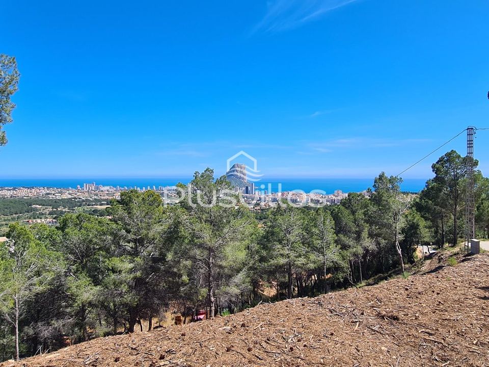 Helårsgrund i Calpe, Alicante - foto 5