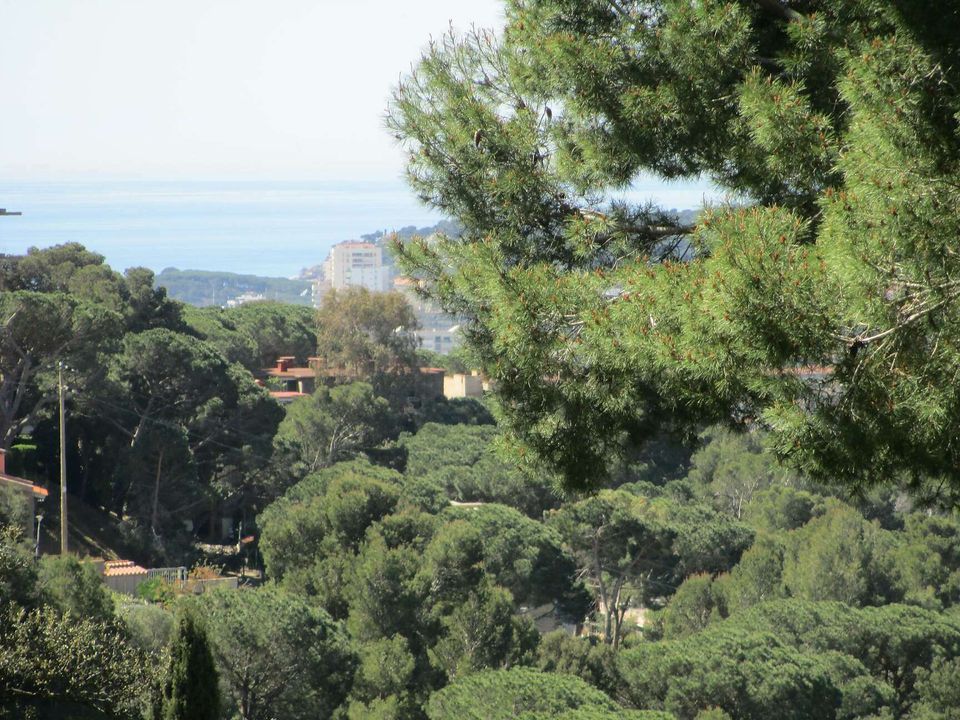 Helårsgrund i Sant Antoni De Calonge, Gerona - foto 4