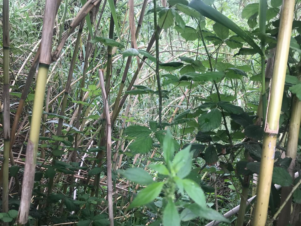 Finca i Benifallet, Tarragona - foto 5