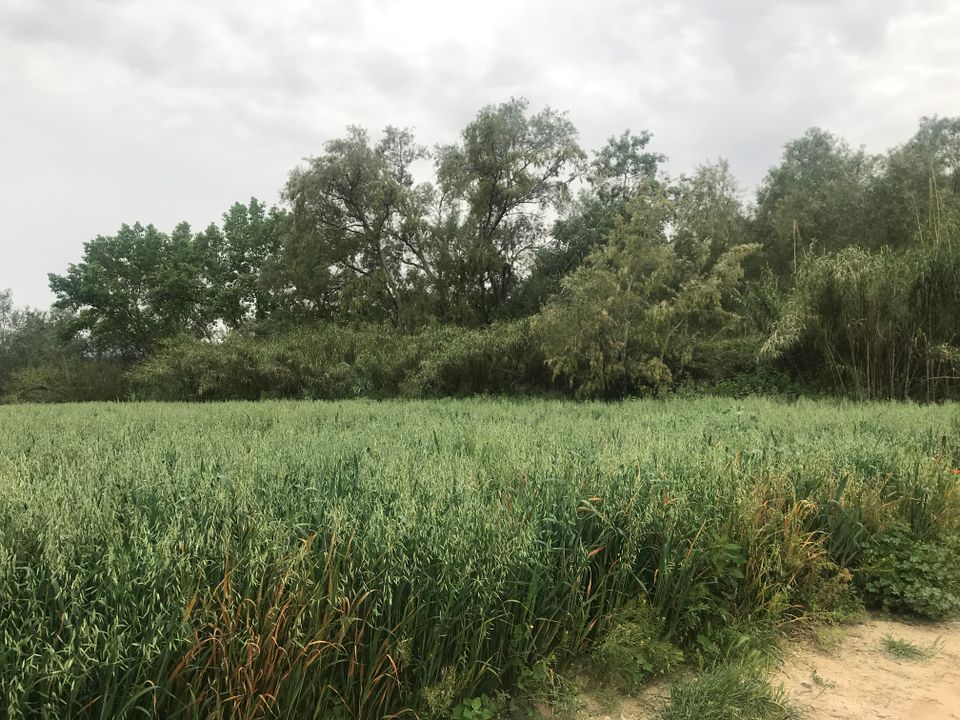 Finca i Benifallet, Tarragona - foto 1