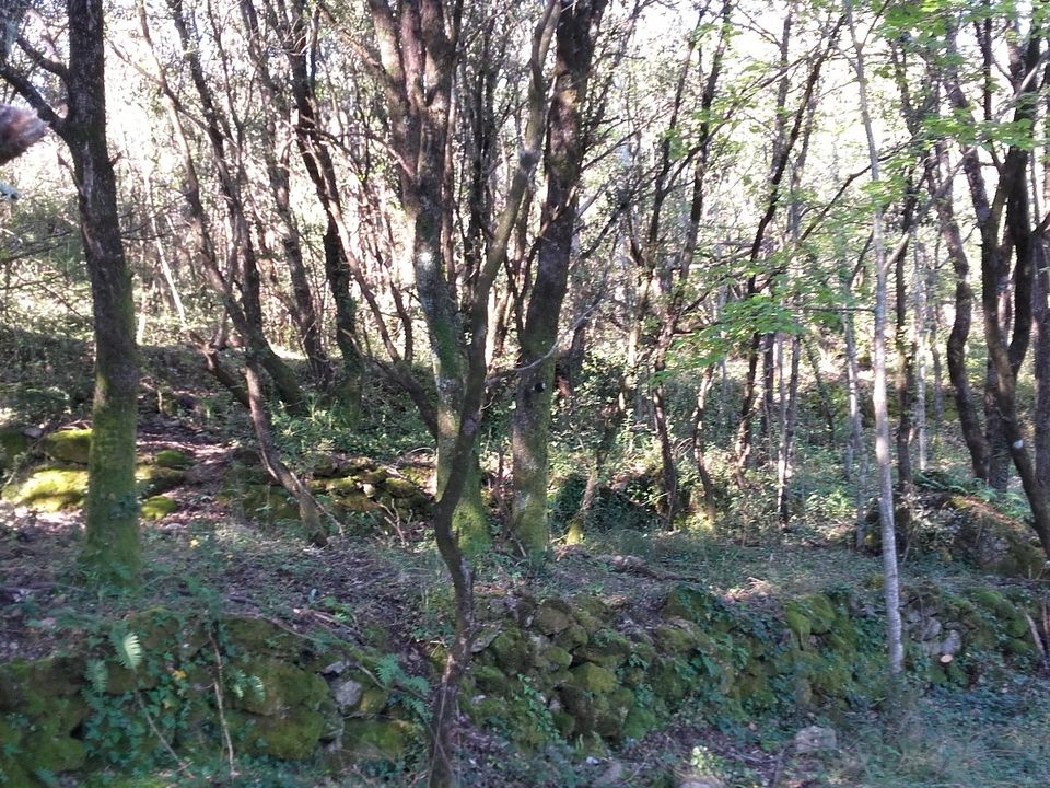 Helårsgrund i Roquedur, Gard - foto 5