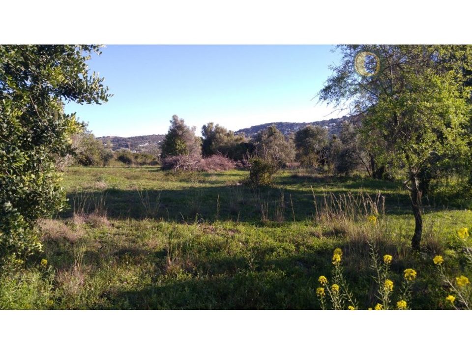 Helårsgrund i Sao Bras de Alportel, Faro - foto 1