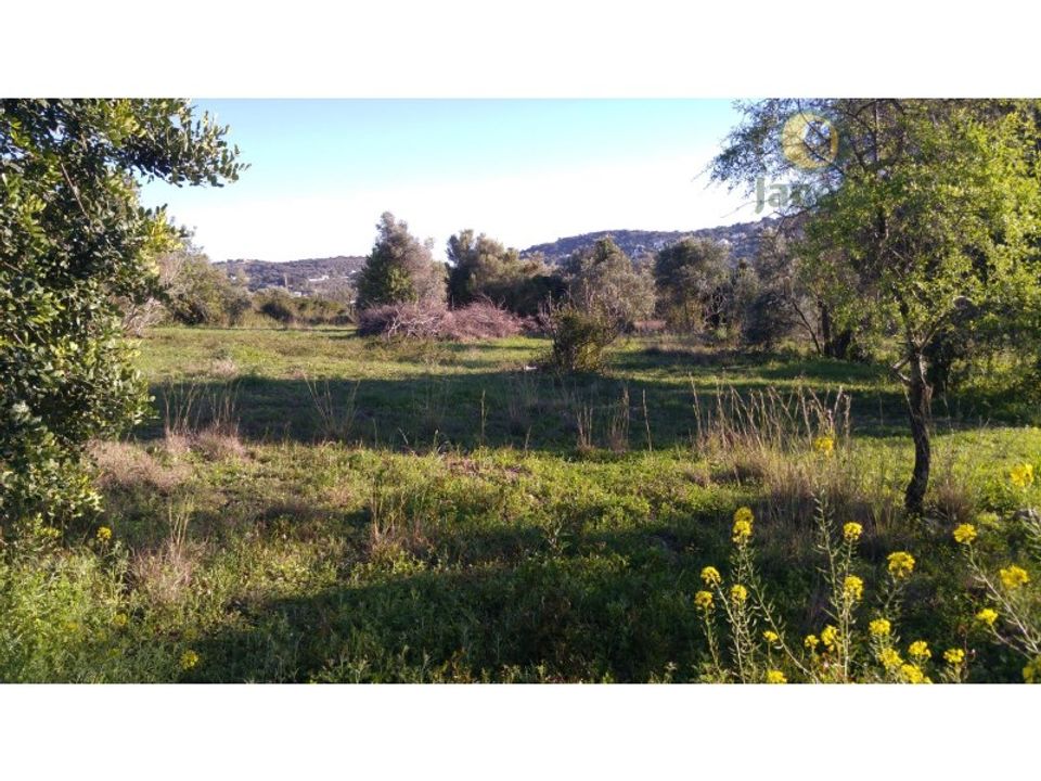 Helårsgrund i Sao Bras de Alportel, Faro - foto 2
