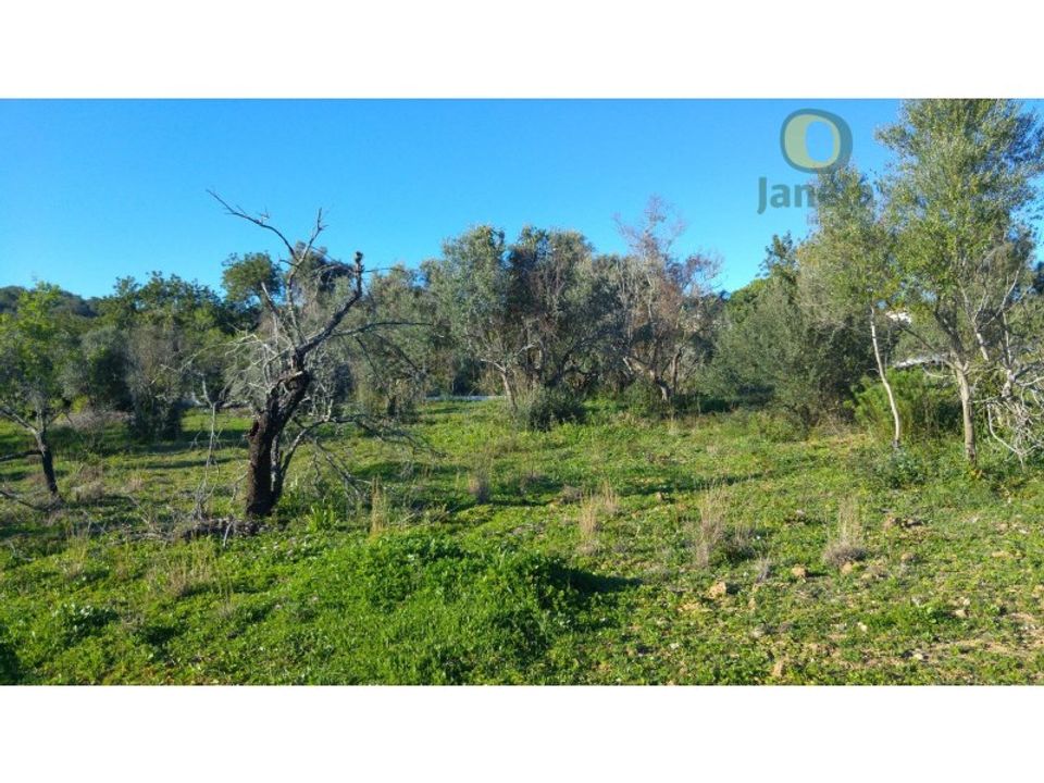Helårsgrund i Sao Bras de Alportel, Faro - foto 4