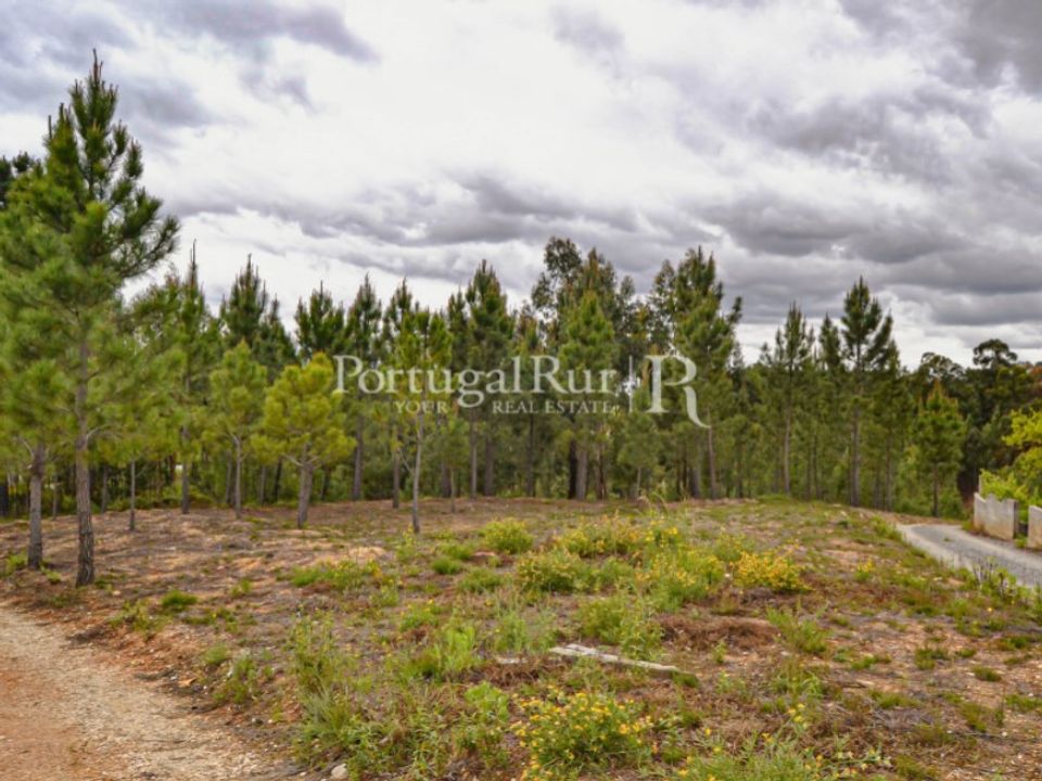 Helårsgrund i Sobreira Formosa e Alvito da Beira, Castelo Branco - foto 1
