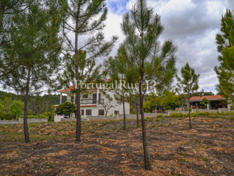 Helårsgrund i Sobreira Formosa e Alvito da Beira, Castelo Branco - foto 2