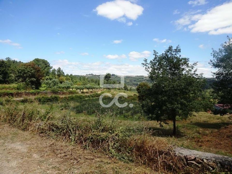 Farm hus i Viseu, Viseu - foto 2