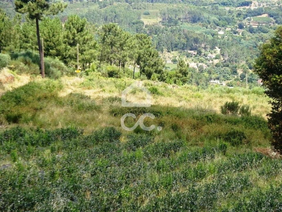 Farm hus i Viseu, Viseu - foto 5