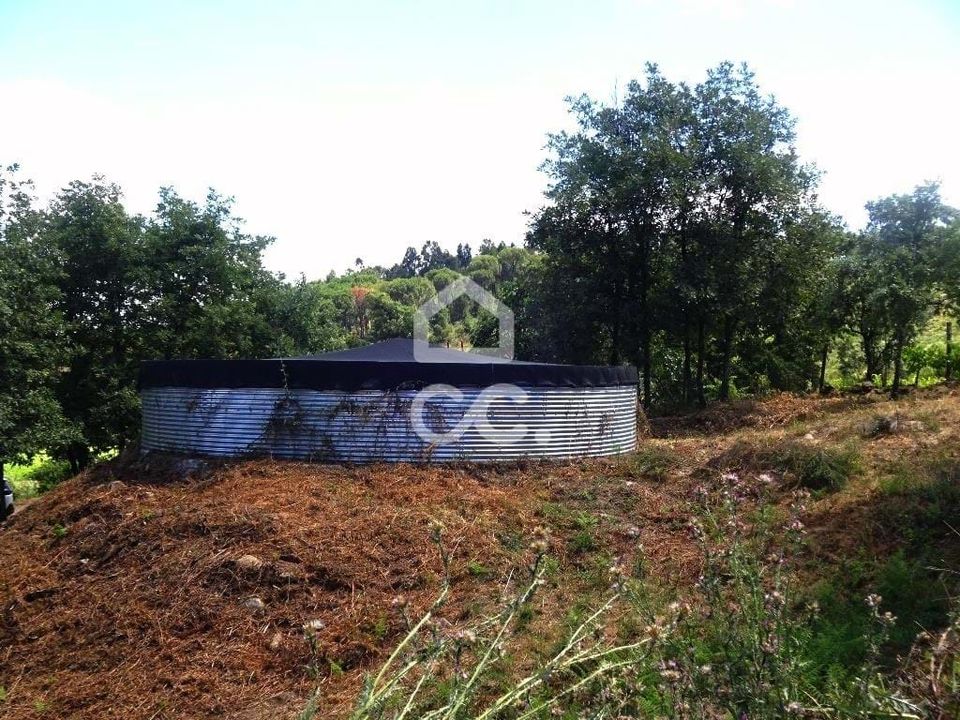 Farm hus i Viseu, Viseu - foto 4