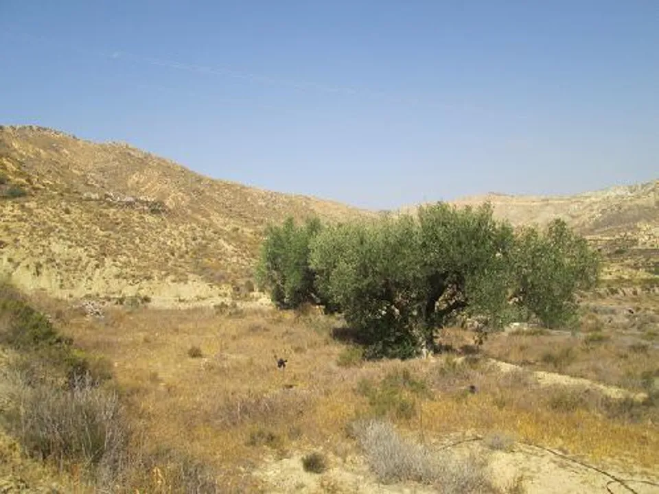 Tomt i Sorbas, Almeria - bilde 2