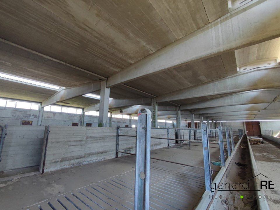 Erhvervsejendom i Citta Sant'Angelo, Pescara - foto 2