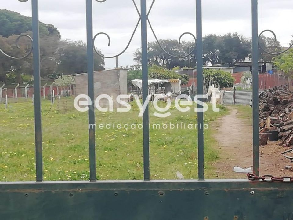 Helårsgrund i Ferreira do Alentejo, Beja - foto 4