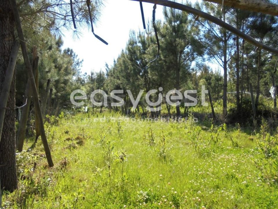 Helårsgrund i Ferreira do Zezere, Santarem - foto 1