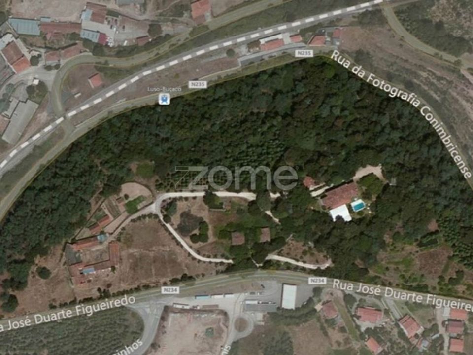 Farm i Luso, Aveiro - foto 1