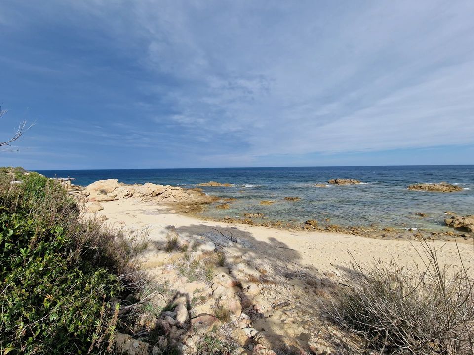 Landejendom i Solenzara, Corse-du-Sud - foto 1