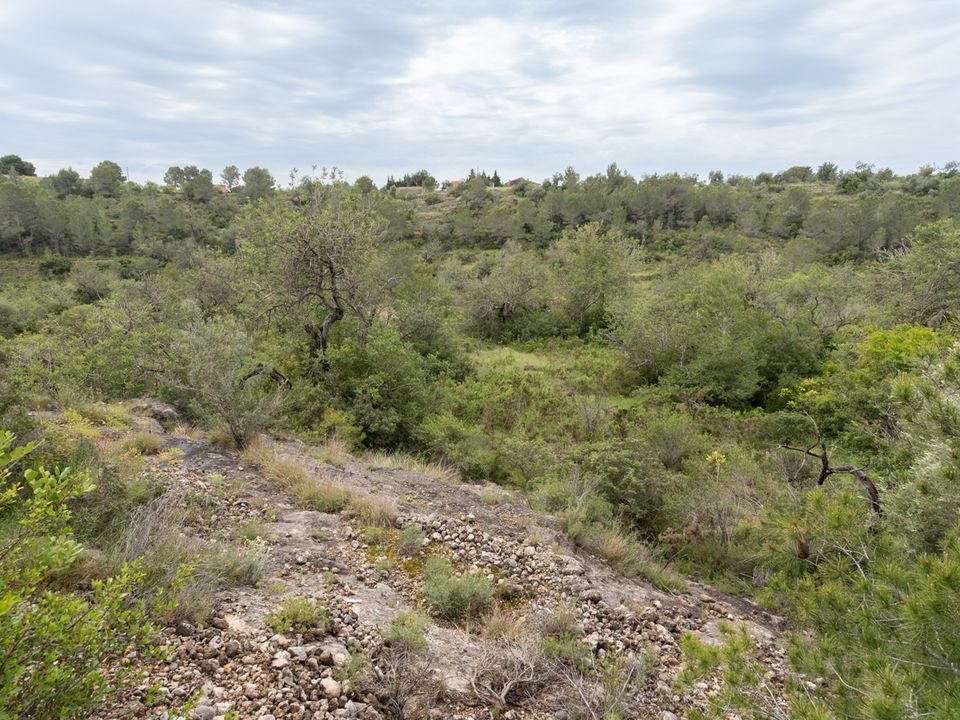 Finca i Tortosa, Tarragona - foto 5