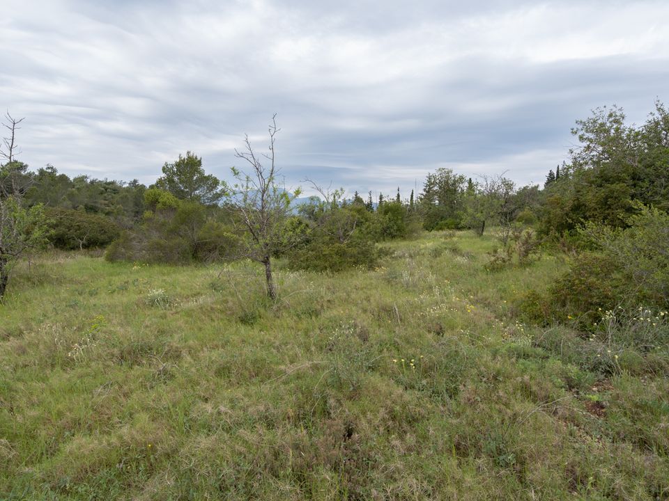 Finca i Tortosa, Tarragona - foto 3
