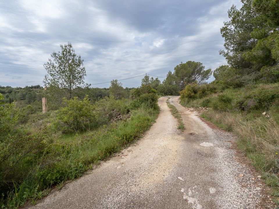 Finca i Tortosa, Tarragona - foto 2