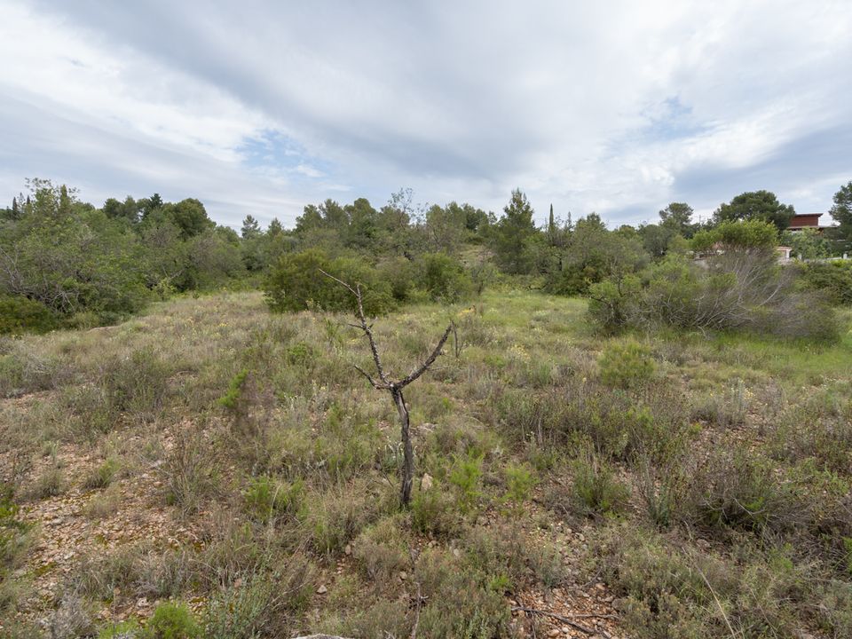 Finca i Tortosa, Tarragona - foto 4