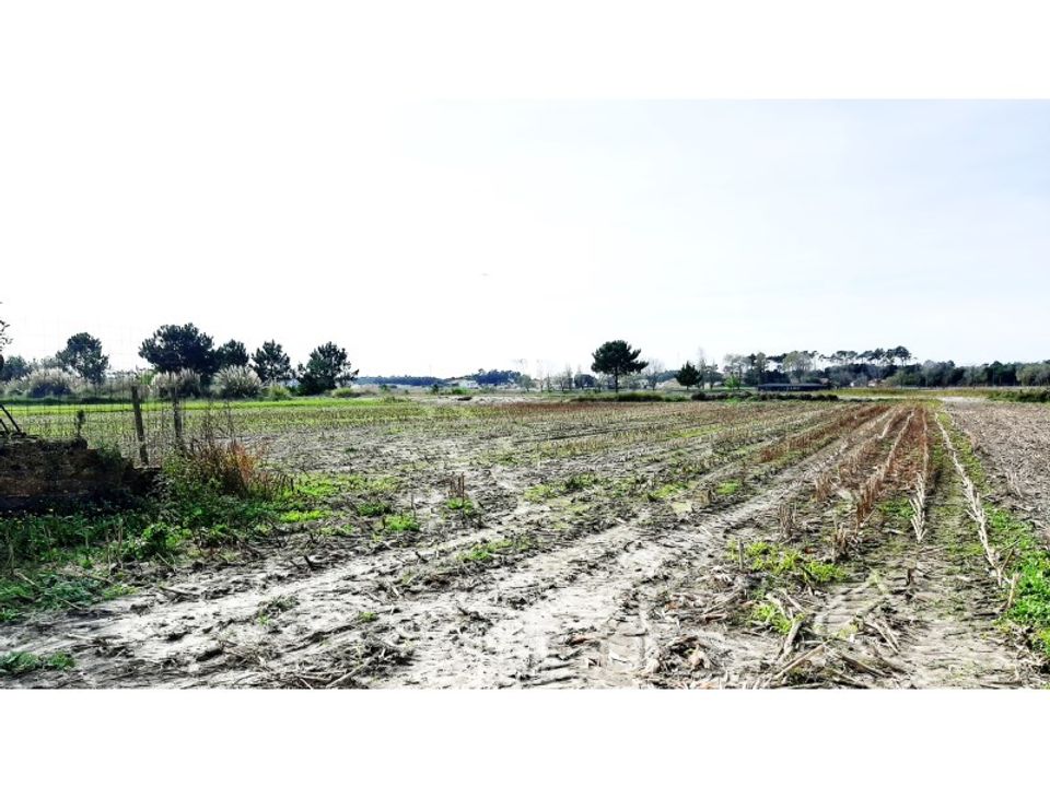 Helårsgrund i Ovar, Aveiro - foto 2