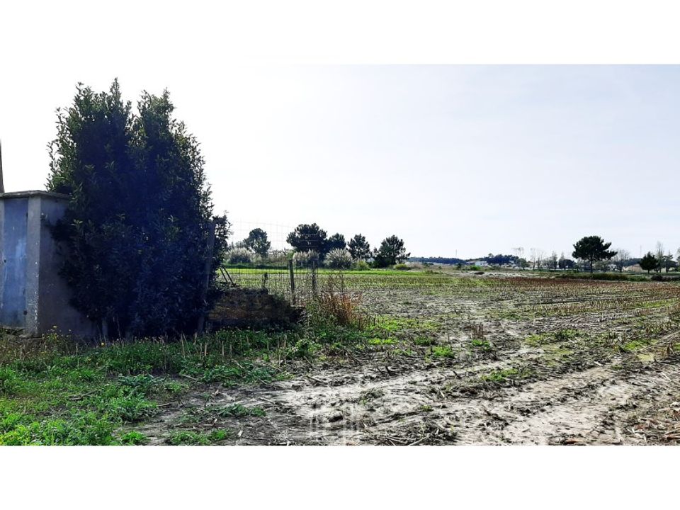 Helårsgrund i Ovar, Aveiro - foto 3