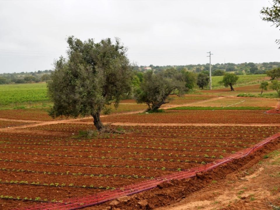 Villa i Guia, Faro - foto 2