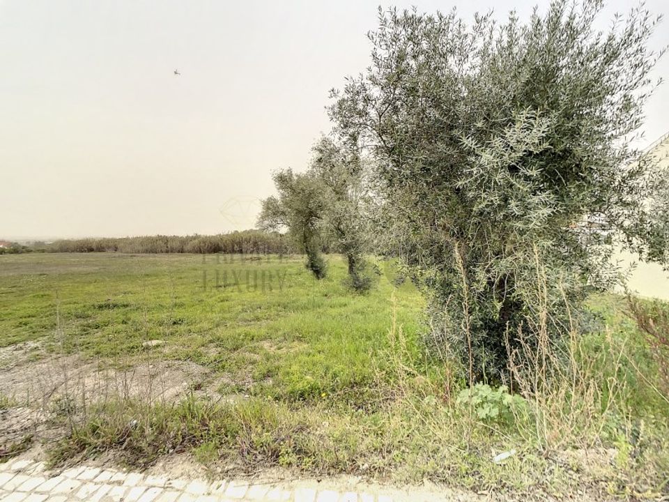 Helårsgrund i Quinta do Anjo, Setubal - foto 5