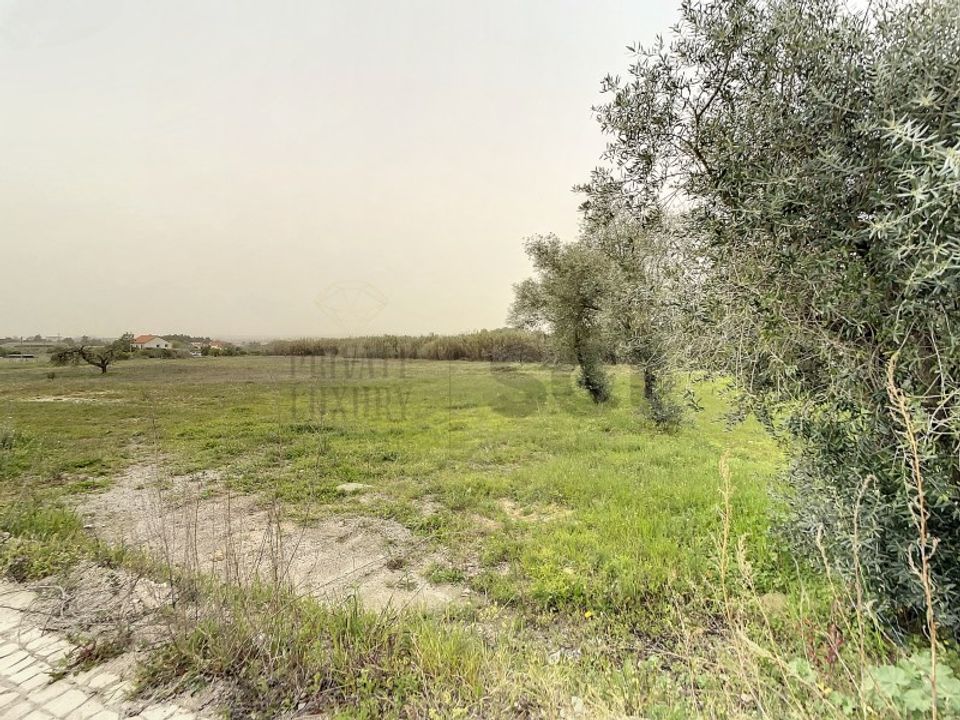 Helårsgrund i Quinta do Anjo, Setubal - foto 1