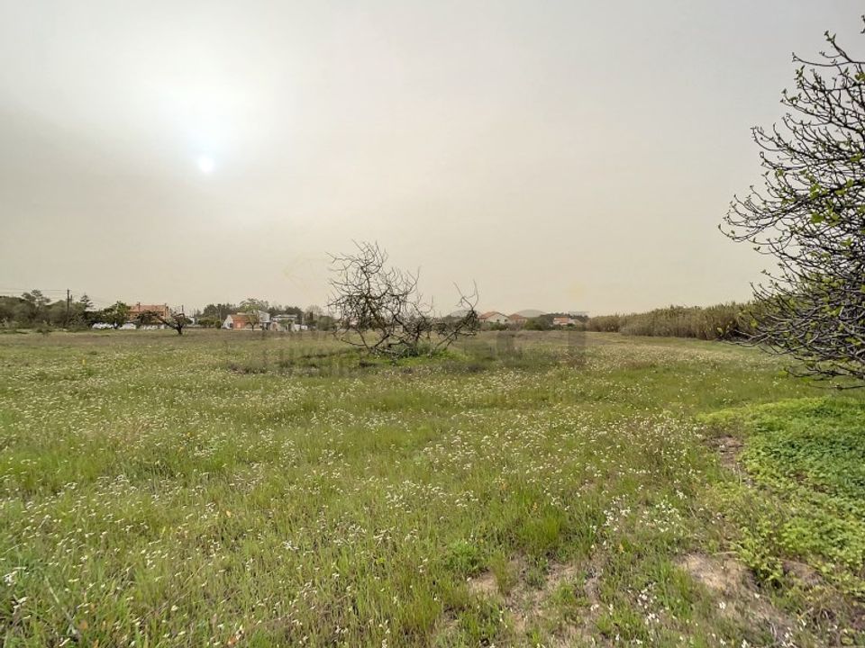 Helårsgrund i Quinta do Anjo, Setubal - foto 2