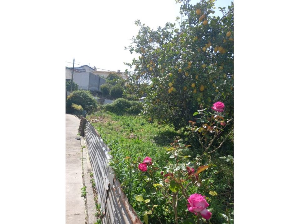 Helårsgrund i Fanzeres, Porto - foto 5
