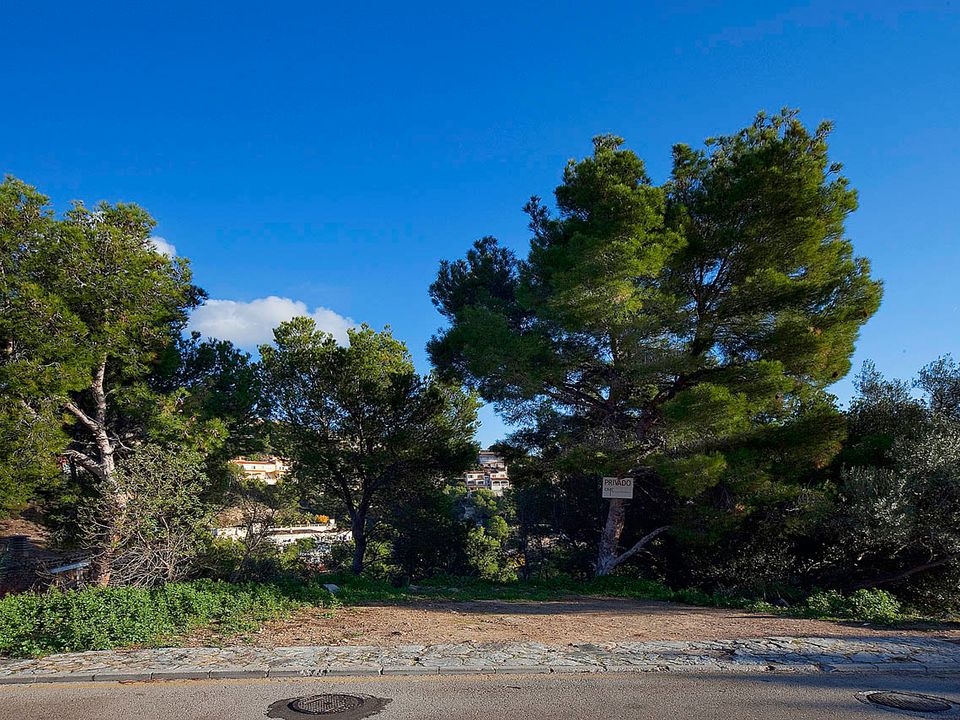 Villa i Costa D'en Blanes, Mallorca - foto 3