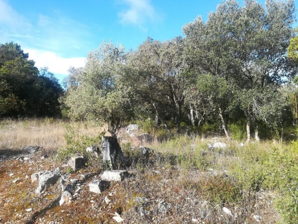 Terra em Fatima, Santarem - foto 1