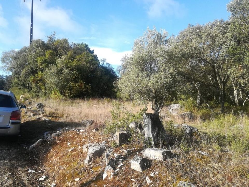 Terra em Fatima, Santarem - foto 2