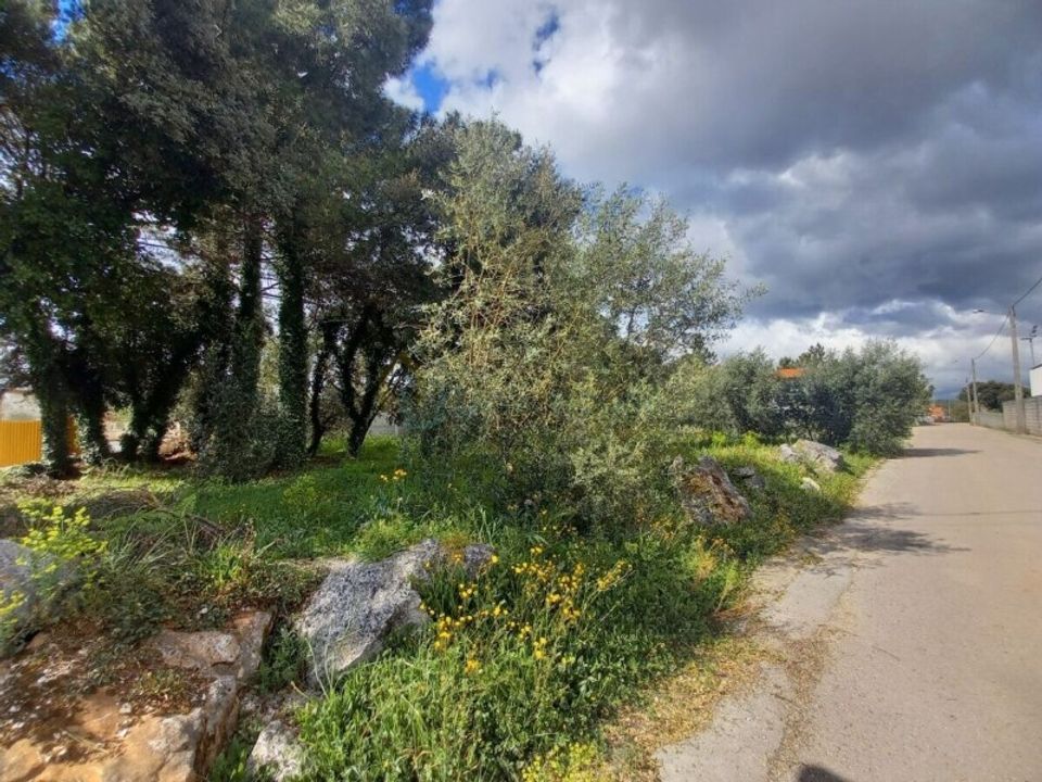 Tomt i Fatima, Santarem - bilde 3