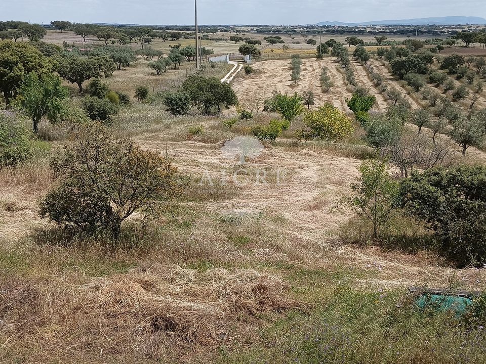 Farm hus i Alandroal, Evora - foto 5